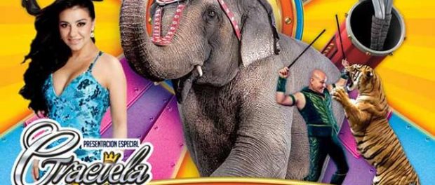 CIRCO RINGLING FIN