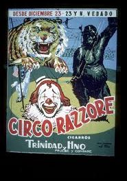 CIRCO Razzore 5